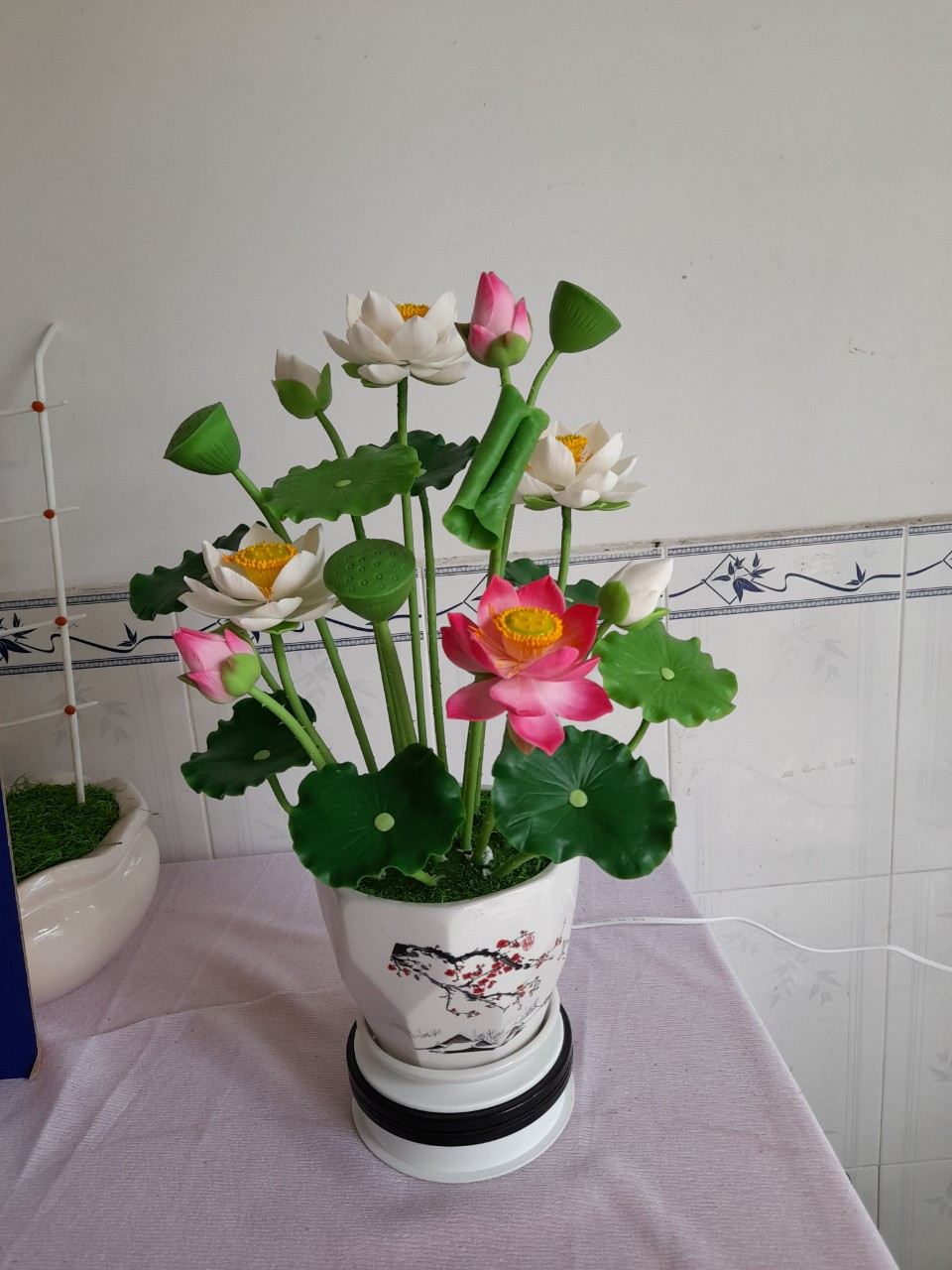 Tình yêu hoa từ... đất của nữ thạc sỹ 9X ở Cần Thơ ảnh 9