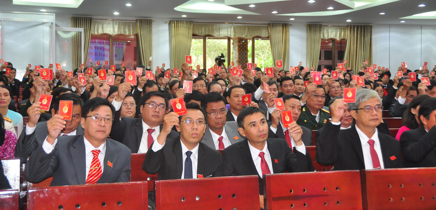 Ông Phan Văn Mãi tái đắc cử Bí thư Tỉnh ủy Bến Tre ​ ảnh 1