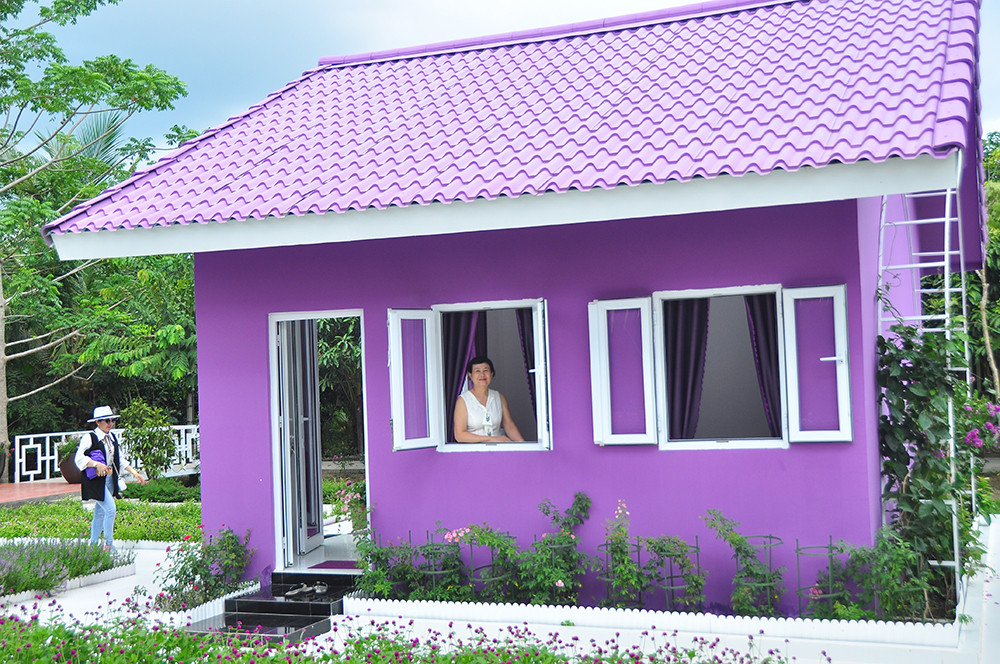 Căn nhà màu tím độc đáo ở Cần Thơ hút khách đến 'check-in' ảnh 5