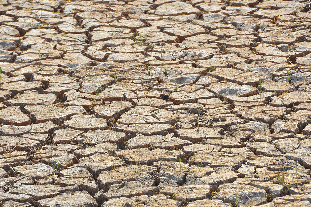 Người dân ngày đêm oằn mình với hạn mặn khốc liệt nhất lịch sử ảnh 13