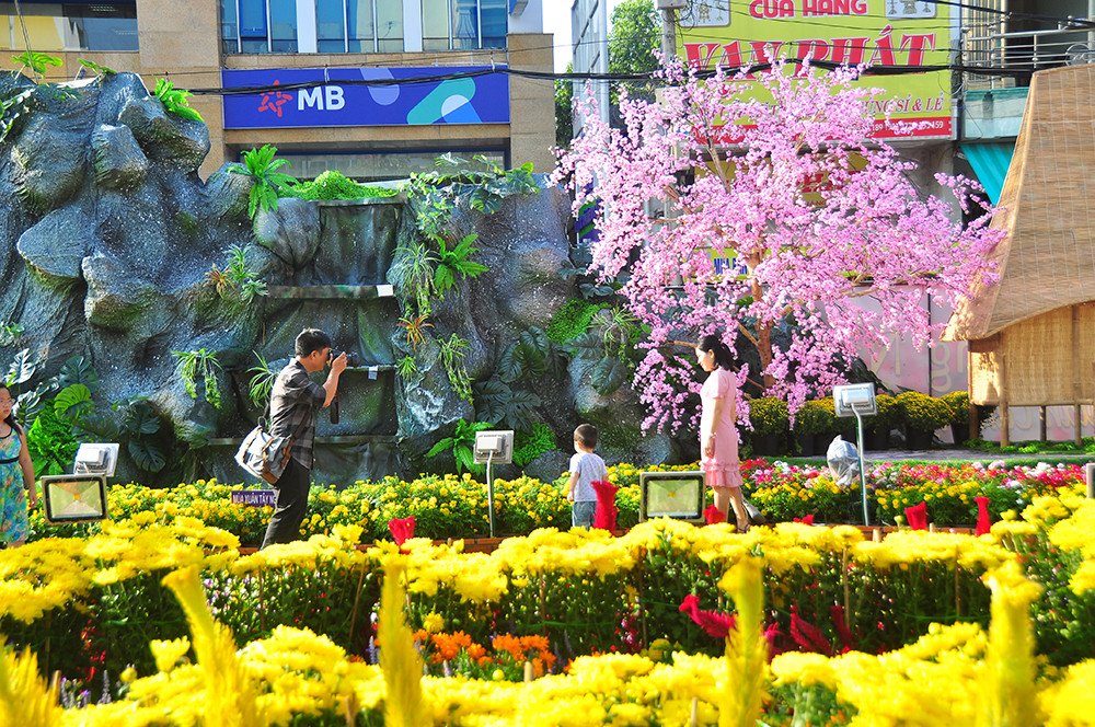 Đường hoa xuân Cần Thơ được làm từ 85 nghìn chậu phục vụ du khách ảnh 17
