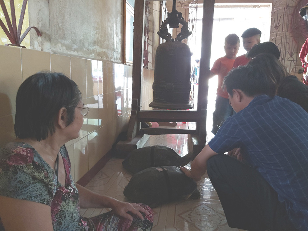'Kỳ lạ' cụ rùa hơn trăm tuổi ở miền Tây biết... nghe kinh, ăn chay và giữ cửa ảnh 9