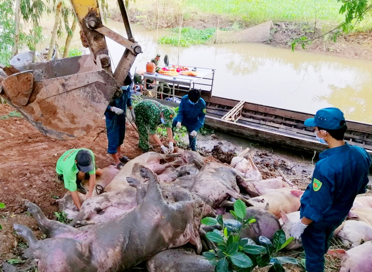 Thủ tướng Nguyễn Xuân Phúc: Xử lý nghiêm đối tượng lừa đảo xuất khẩu lao động ảnh 2