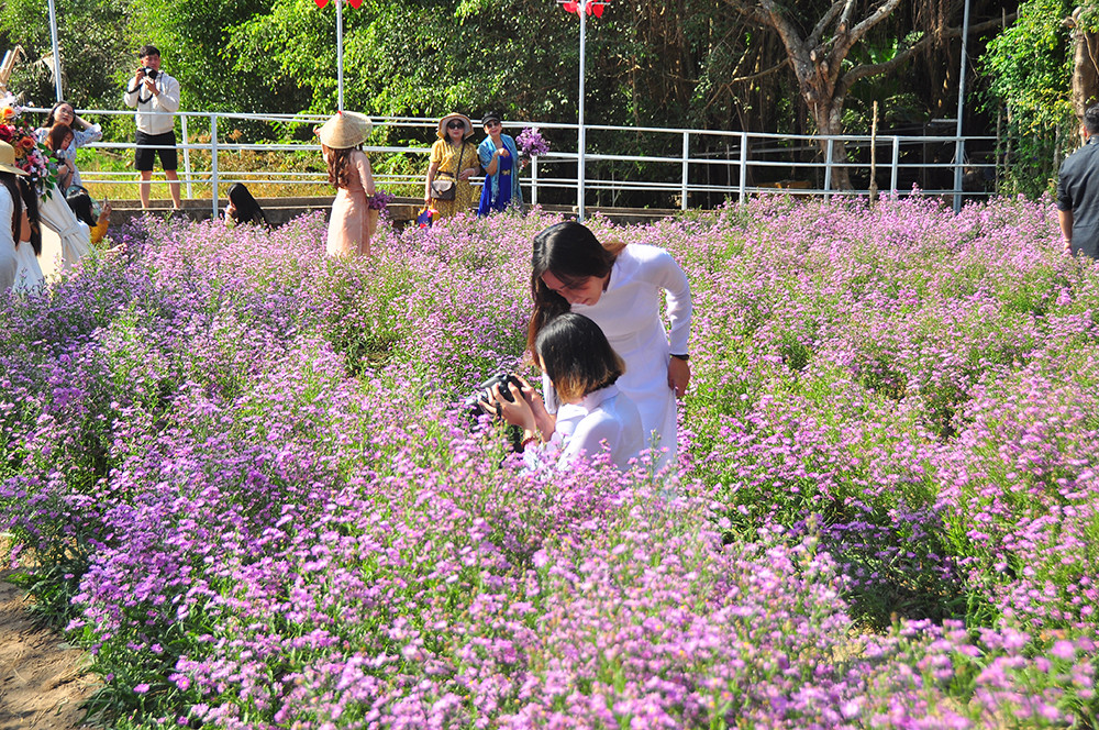 'Đà Lạt thu nhỏ' thu hút giới trẻ Tây Đô ảnh 18