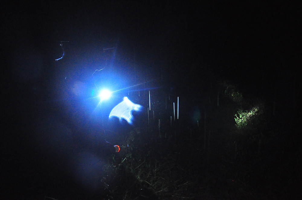 Chiến sỹ biên phòng trắng đêm phòng dịch nơi cửa ngõ biên cương ảnh 4