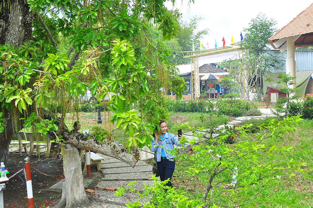 Lạ lùng cây lộc vừng 300 năm tuổi ở miền Tây lần đầu nở hoa đúng dịp Tết ảnh 8