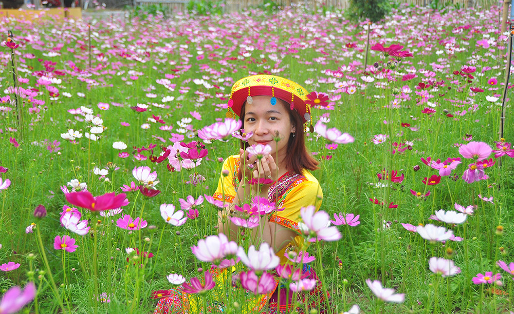  Vườn hoa thơ mộng đẹp 'hút hồn' bạn trẻ ở Cần Thơ ảnh 14