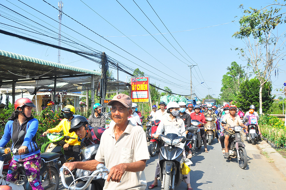 Xe kẹt cứng ở làng hoa Sa Đéc lớn nhất miền Tây ảnh 6