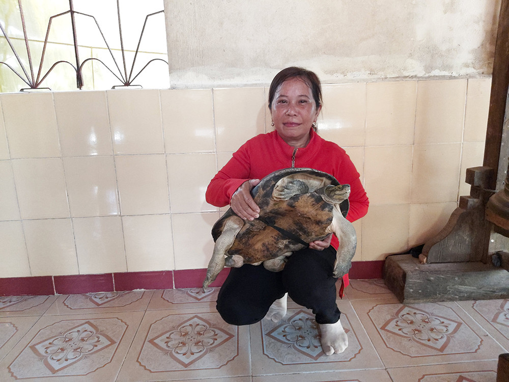 'Kỳ lạ' cụ rùa hơn trăm tuổi ở miền Tây biết... nghe kinh, ăn chay và giữ cửa ảnh 2