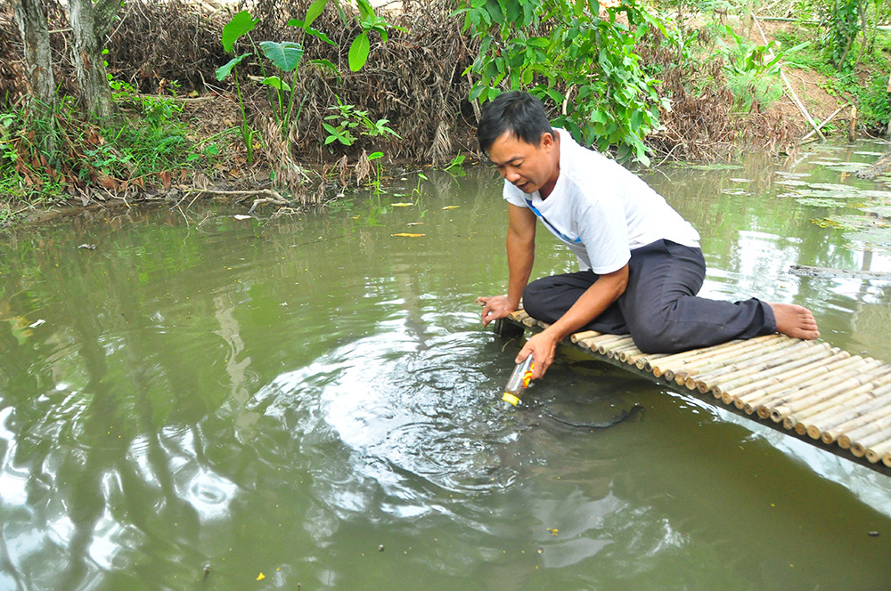 Độc đáo đàn cá lóc... bú bình sữa ở miền Tây ảnh 5