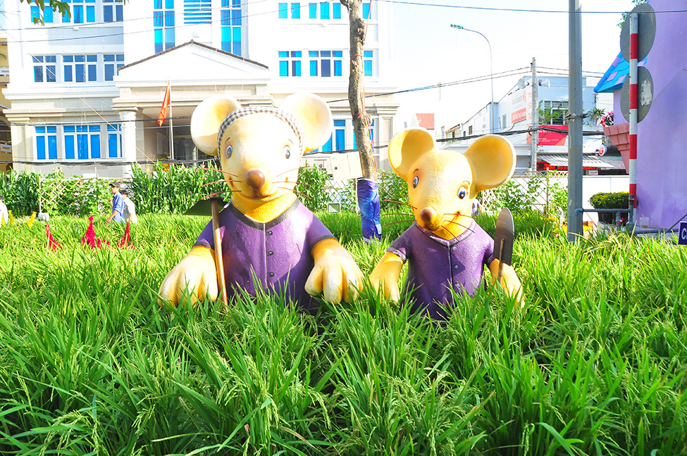 Đường hoa xuân Cần Thơ được làm từ 85 nghìn chậu phục vụ du khách ảnh 10