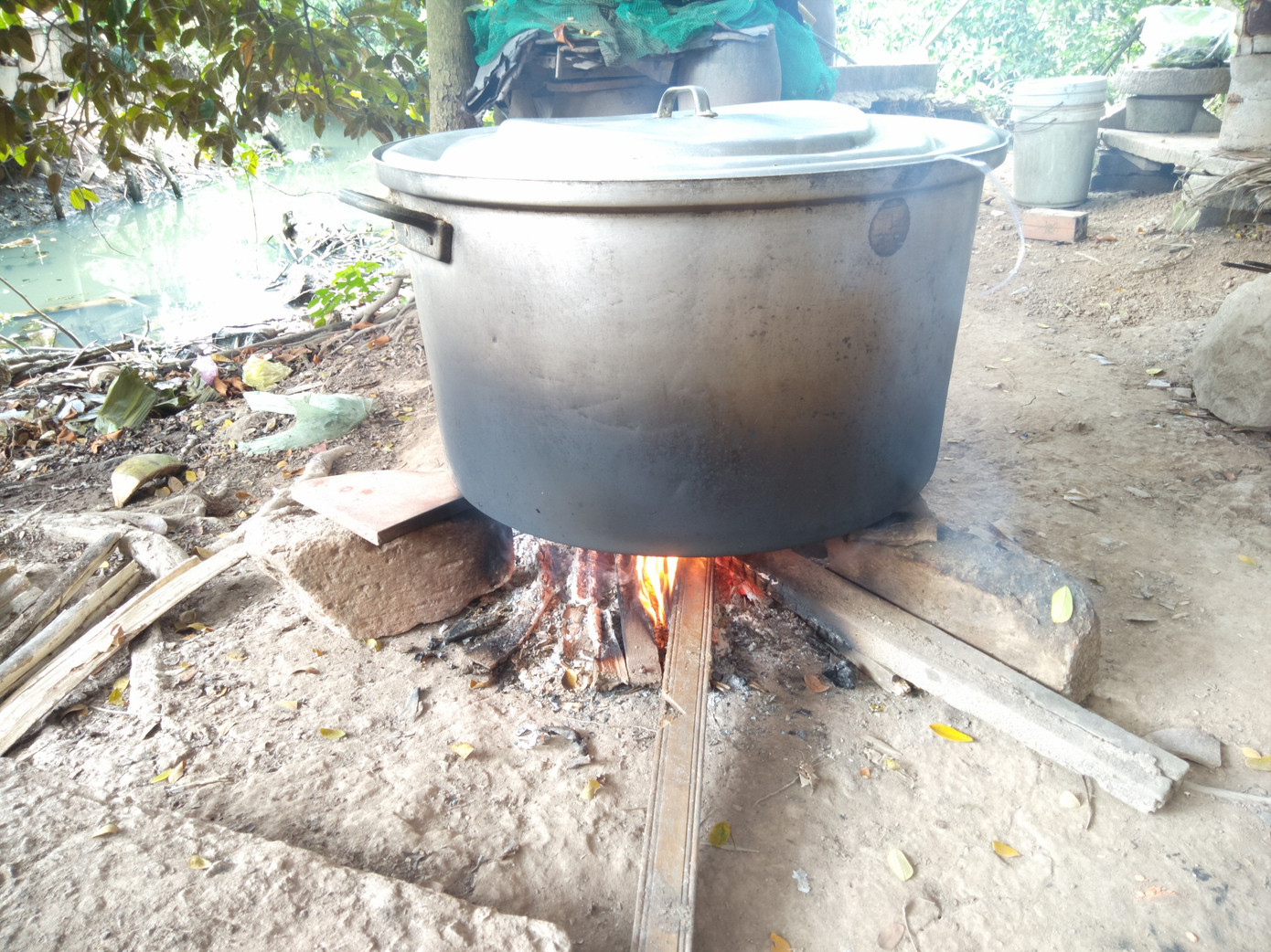 Bạn trẻ đất Sen Hồng gói bánh tét tặng cụ già đón Tết ảnh 4