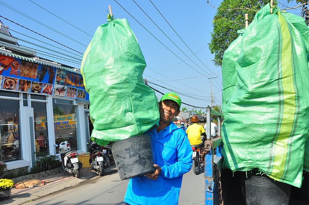 Hoa kiểng miền Tây khoe sắc rời quê lên phố ảnh 16