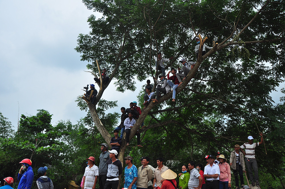Nghìn người đứng kín bờ sông mê mải xem đua ghe ngo ở Sóc Trăng ảnh 11