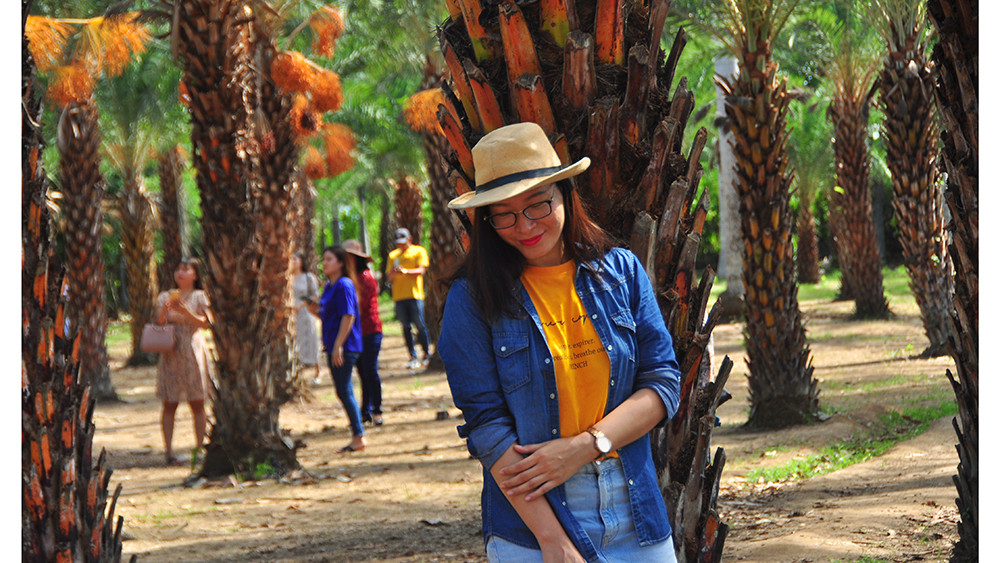 Giới trẻ thích thú vẻ đẹp vườn chà là sum suê trái ở miền Tây ảnh 9