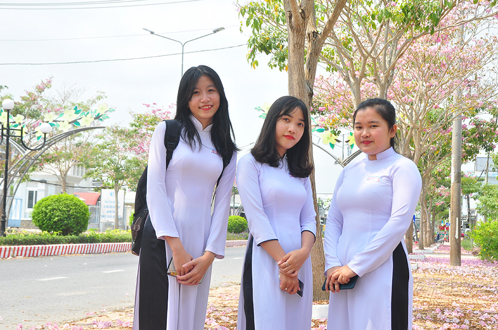 Con đường hoa kèn hồng ở miền Tây lung linh như phim Hàn thu hút giới trẻ ảnh 2