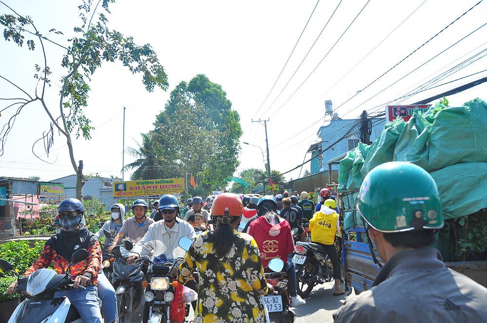 Xe kẹt cứng ở làng hoa Sa Đéc lớn nhất miền Tây ảnh 3