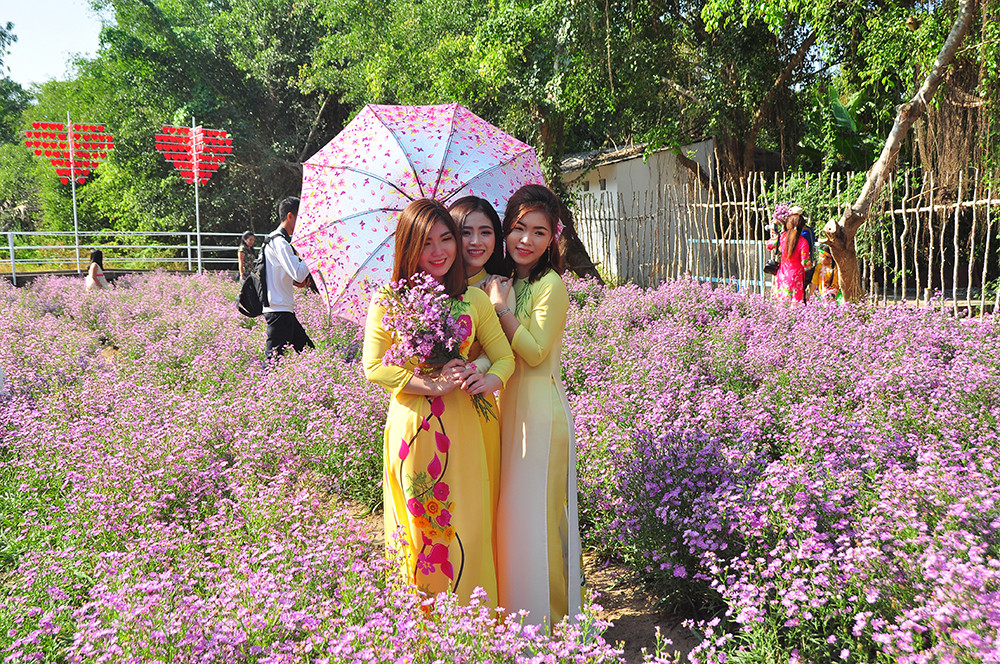 'Đà Lạt thu nhỏ' thu hút giới trẻ Tây Đô ảnh 2