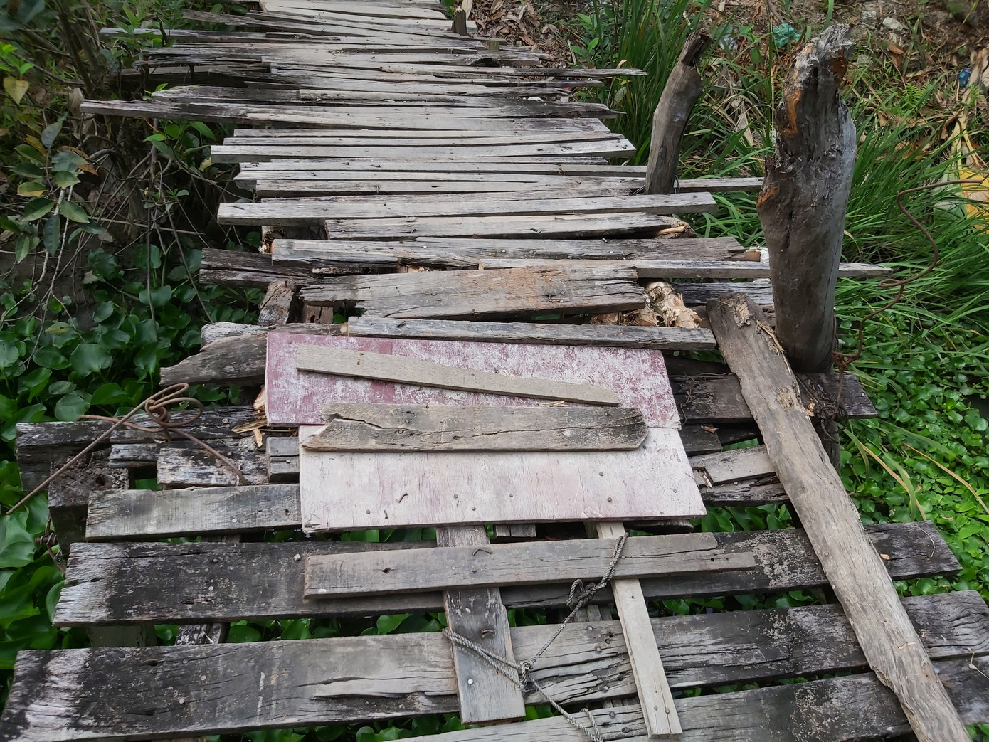 Người dân Hậu Giang thót tim qua cầu... chờ sập ảnh 2