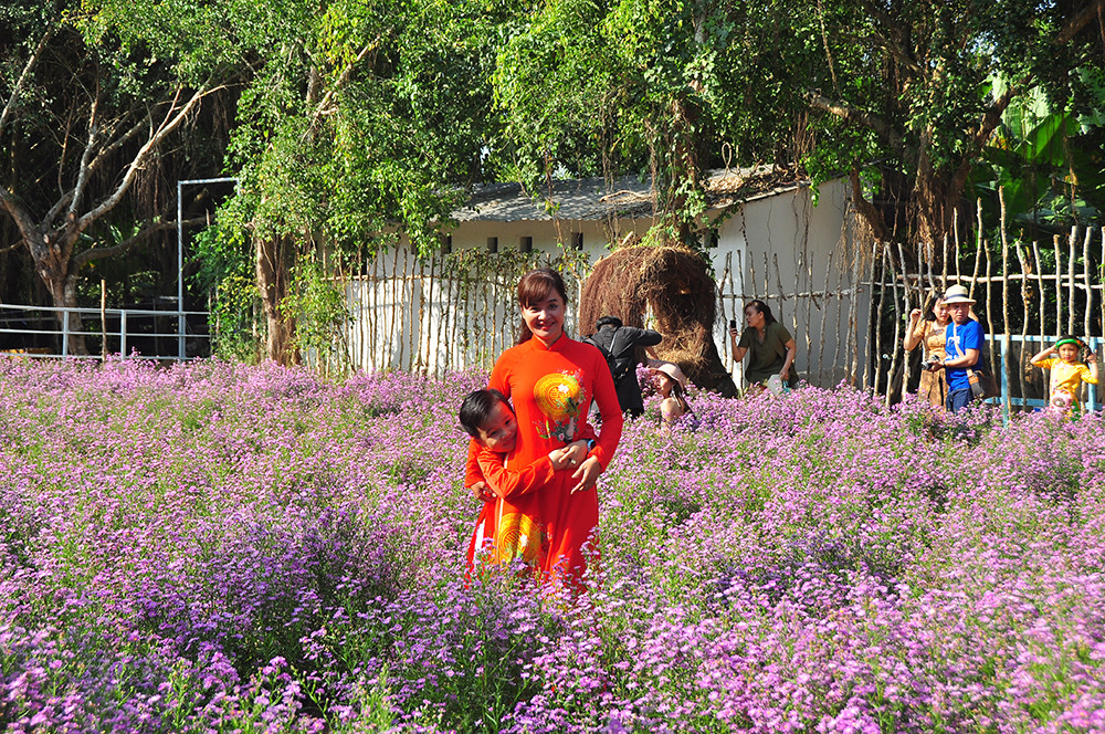 'Đà Lạt thu nhỏ' thu hút giới trẻ Tây Đô ảnh 11