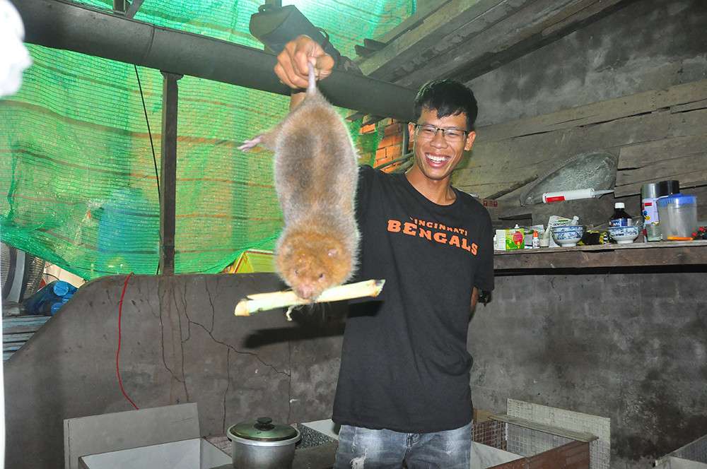 Việt Nam nằm trong top 3 hệ sinh thái khởi nghiệp sáng tạo lớn nhất Đông Nam Á ​ ảnh 2