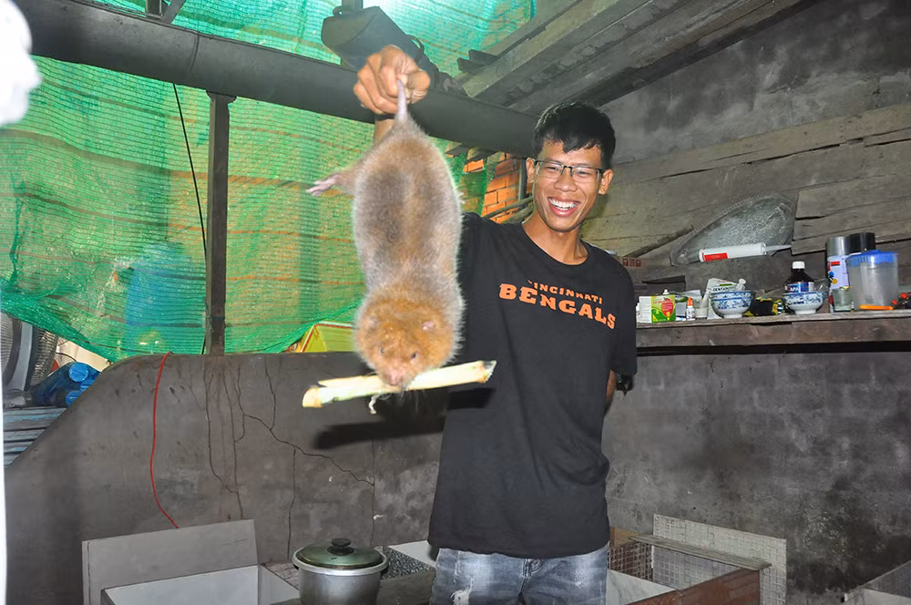 Việt Nam nằm trong top 3 hệ sinh thái khởi nghiệp sáng tạo lớn nhất Đông Nam Á ​ ảnh 2