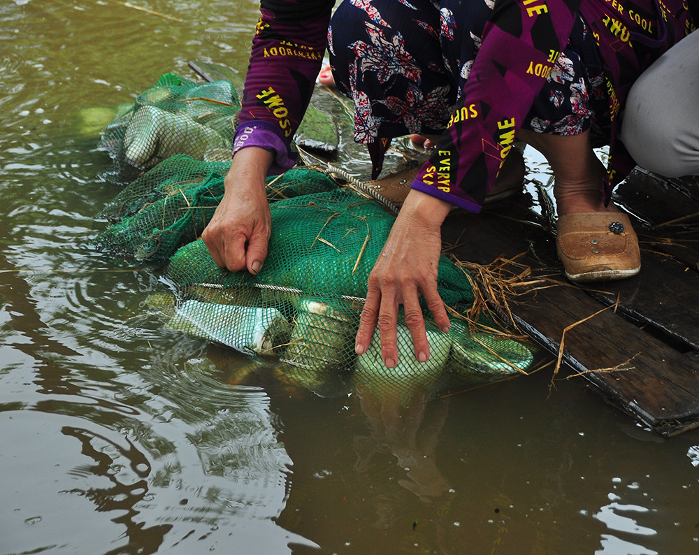 Độc đáo chiếc bè từ vỏ chai nhựa vừa bảo vệ môi trường vừa phục vụ đi lại ảnh 7
