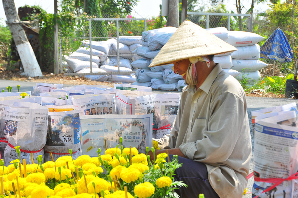 Hoa kiểng miền Tây khoe sắc rời quê lên phố ảnh 9