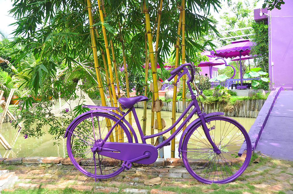 Căn nhà màu tím độc đáo ở Cần Thơ hút khách đến 'check-in' ảnh 16