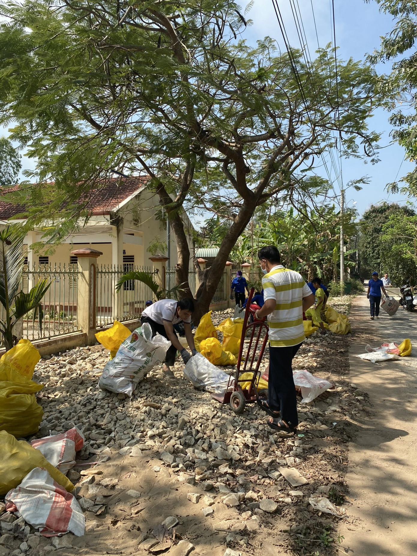 Gần 400 triệu đồng hỗ trợ an sinh xã hội trong ngày ra quân Tháng thanh niên ảnh 8