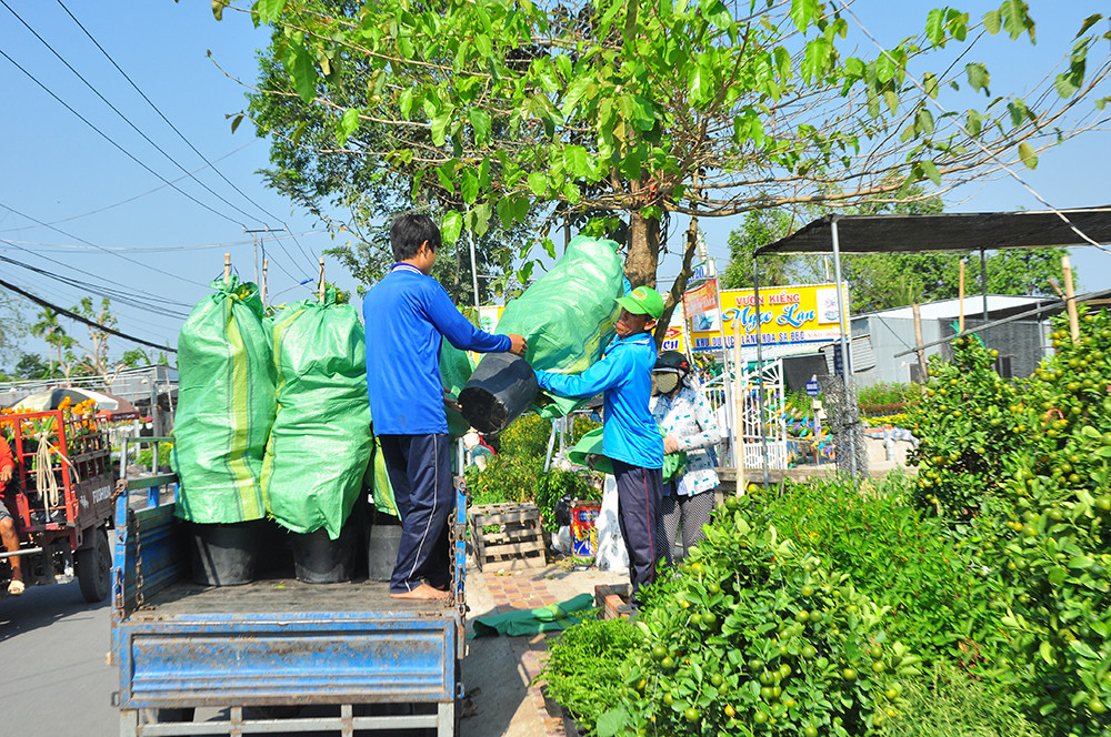 Hoa kiểng miền Tây khoe sắc rời quê lên phố ảnh 15