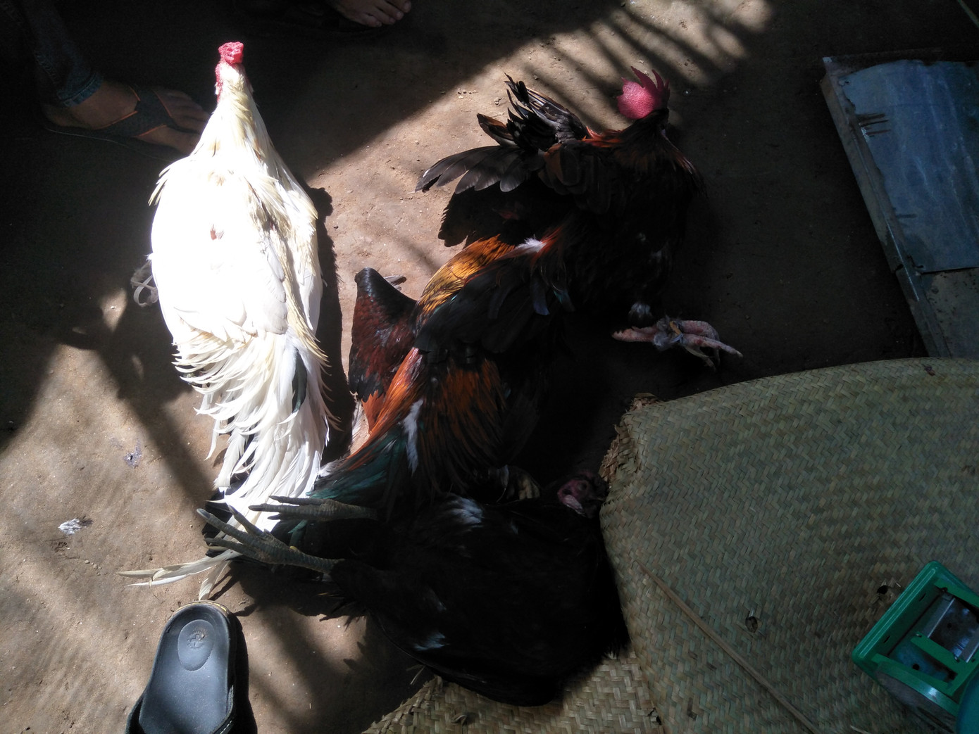 Nhóm đánh bạc chạy tán loạn khi bị bắt quả tang ảnh 2