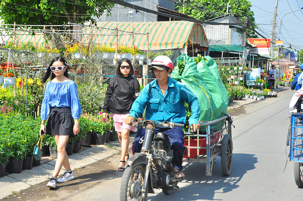 Xe kẹt cứng ở làng hoa Sa Đéc lớn nhất miền Tây ảnh 9