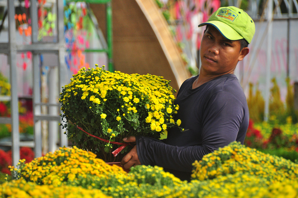 'Trâu lái phi thuyền' và nhiều mô hình đẹp mắt tại đường hoa Xuân Cần Thơ ảnh 2