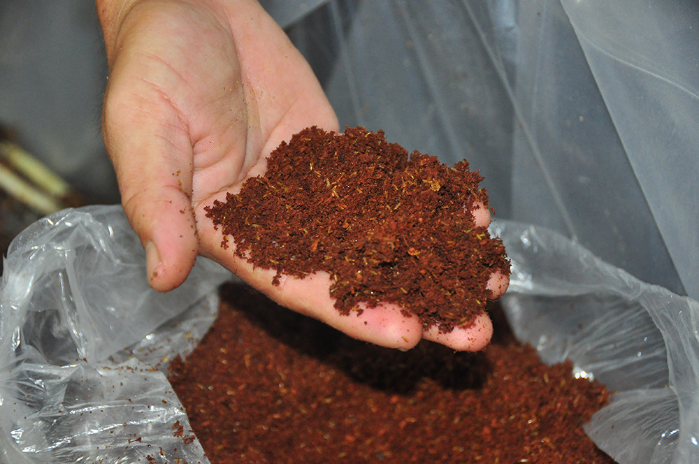 Cận cảnh trang trại dế của thủ lĩnh đoàn ở cù lao ảnh 8