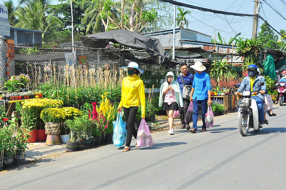Xe kẹt cứng ở làng hoa Sa Đéc lớn nhất miền Tây ảnh 11