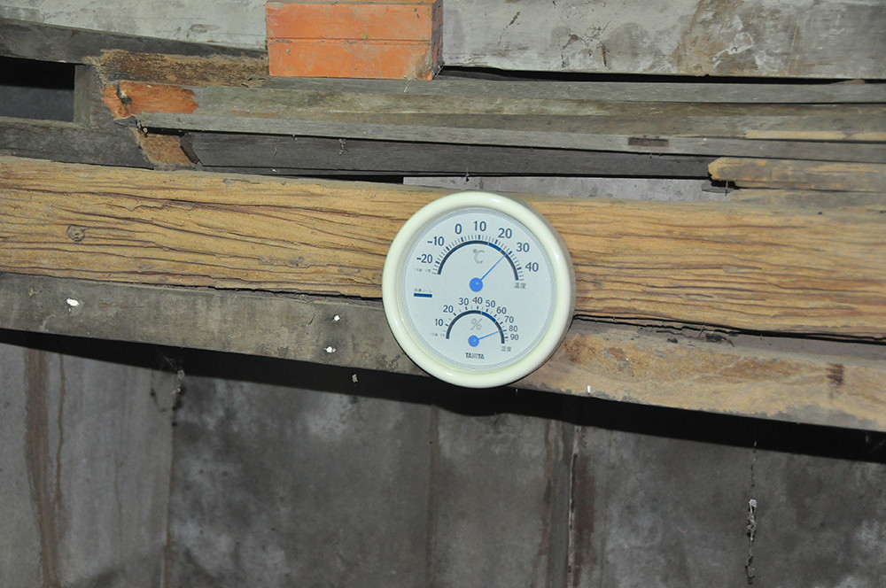 Cận cảnh trang trại nuôi dúi của chàng sinh viên An Giang ảnh 11