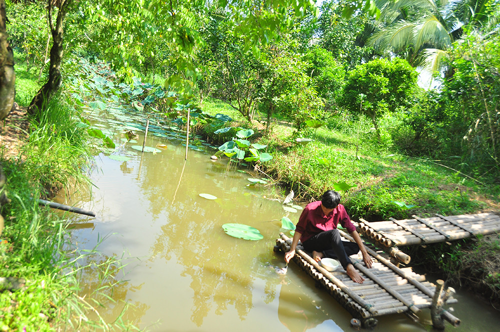 Lạ lùng đàn cá tai tượng suốt 30 năm được đút cơm chay mỗi ngày ảnh 10
