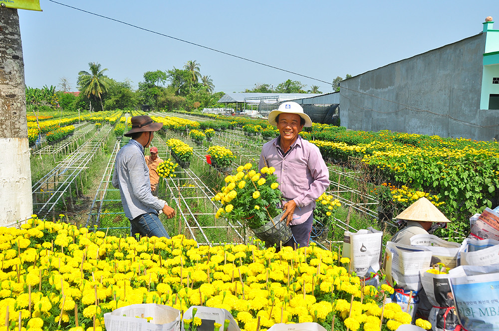 Hoa kiểng miền Tây khoe sắc rời quê lên phố ảnh 6