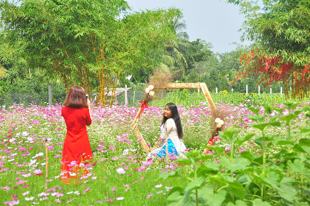 Vườn hoa thơ mộng đẹp 'hút hồn' bạn trẻ ở Cần Thơ ảnh 12