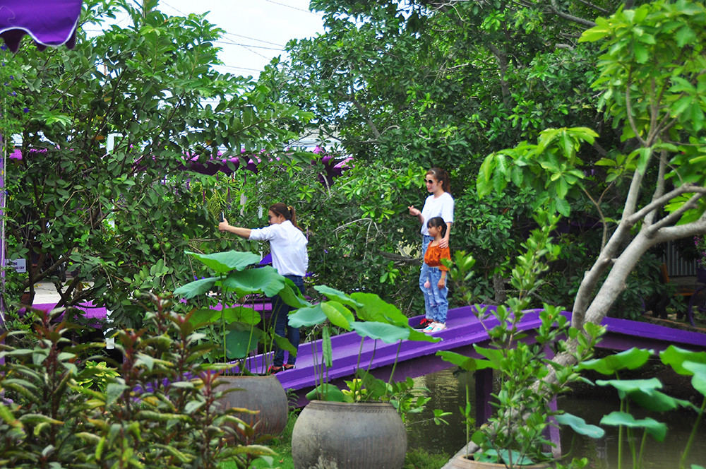 Căn nhà màu tím độc đáo ở Cần Thơ hút khách đến 'check-in' ảnh 17