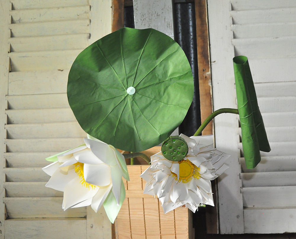 Những bông hoa xinh đẹp mừng ngày 20/11 của cô gái xương thủy tinh ảnh 6