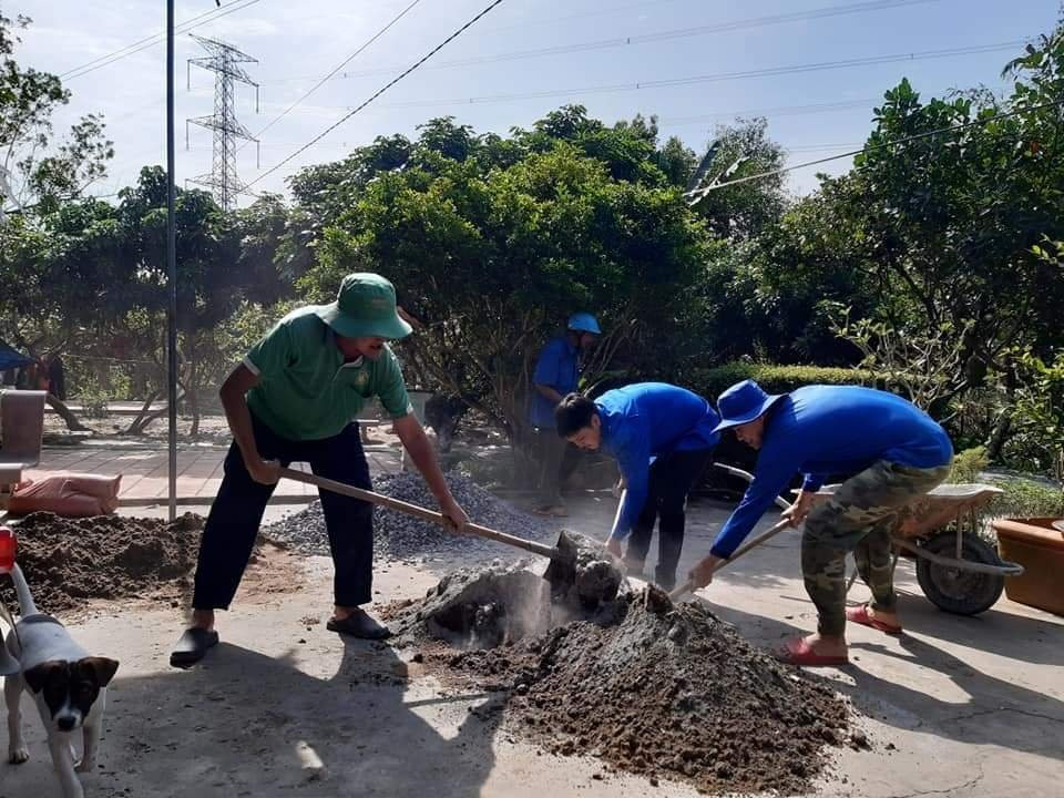 Đất Sen Hồng rực rỡ sắc xuân màu áo xanh tình nguyện ảnh 4