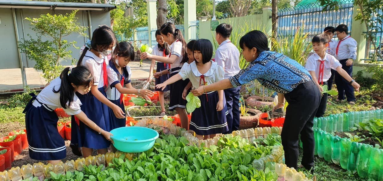 Đất Sen Hồng rực rỡ sắc xuân màu áo xanh tình nguyện ảnh 9