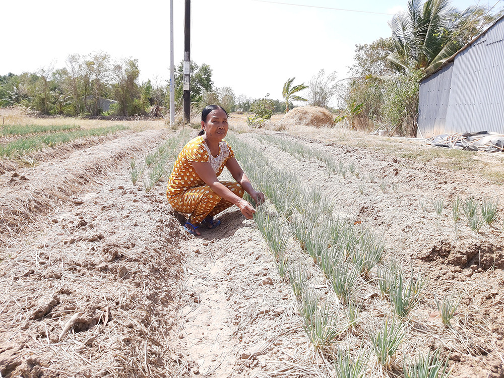 Người dân ngày đêm oằn mình với hạn mặn khốc liệt nhất lịch sử ảnh 18