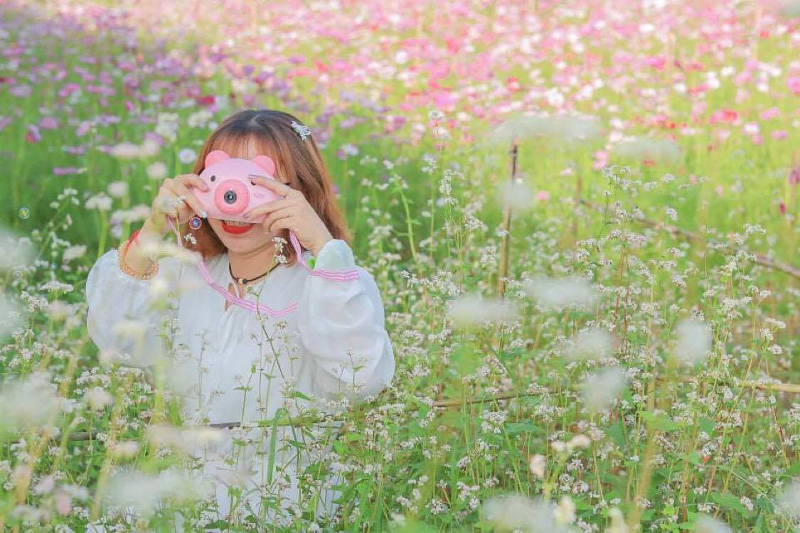  Vườn hoa thơ mộng đẹp 'hút hồn' bạn trẻ ở Cần Thơ ảnh 8