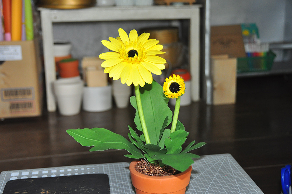 Những bông hoa xinh đẹp mừng ngày 20/11 của cô gái xương thủy tinh ảnh 7