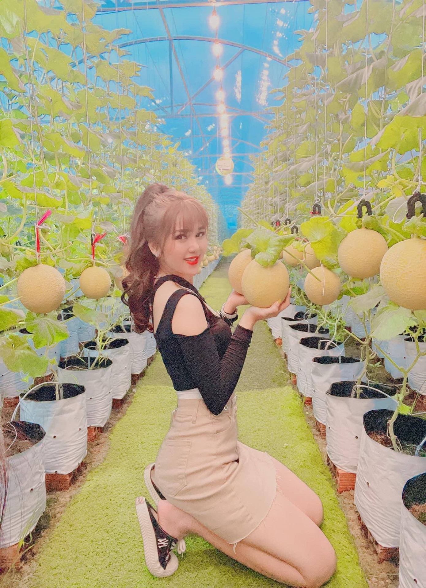 Vườn dưa lưới của chàng thạc sĩ nông nghiệp thu hút đông bạn trẻ check-in dịp Tết ảnh 7