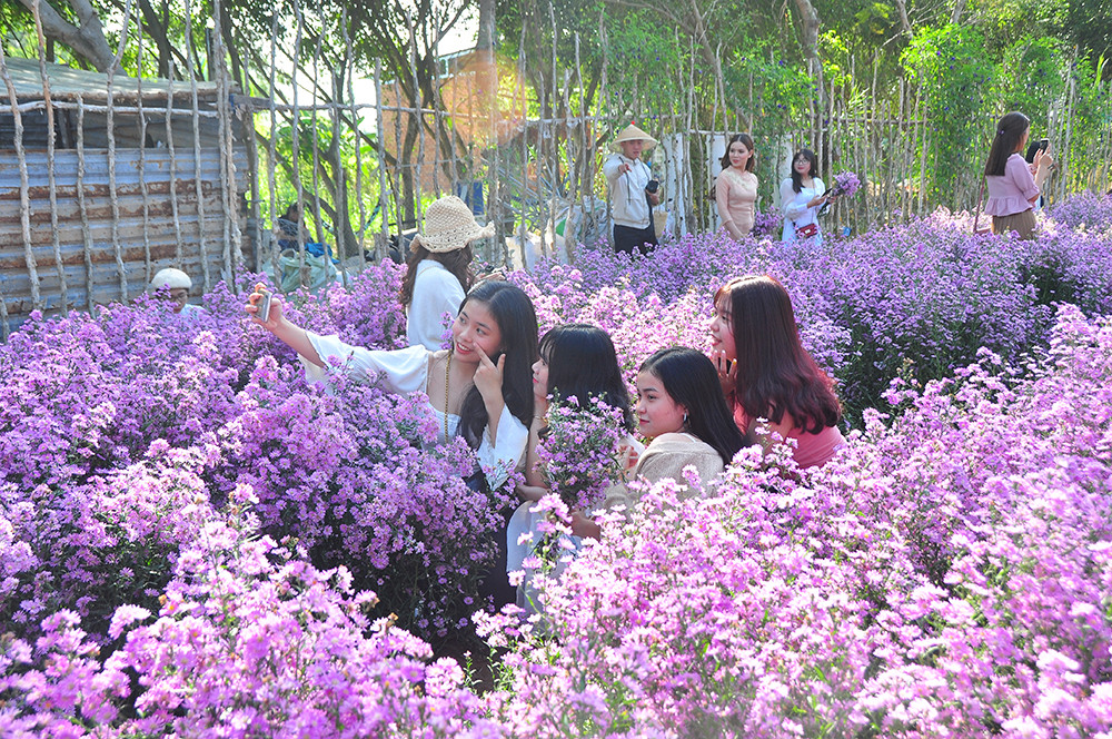 'Đà Lạt thu nhỏ' thu hút giới trẻ Tây Đô ảnh 5