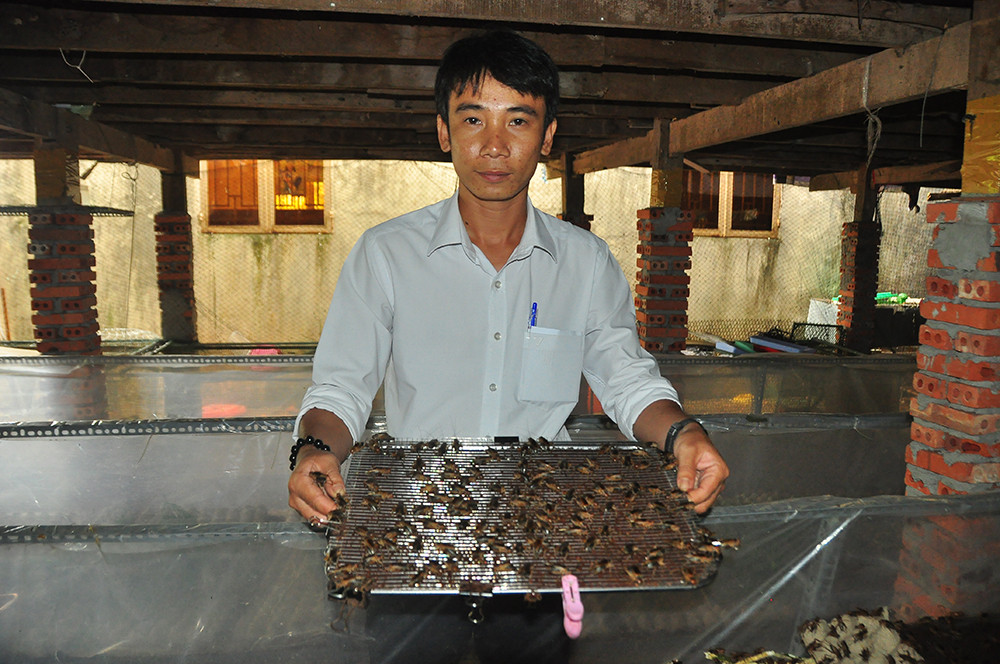 Cận cảnh trang trại dế của thủ lĩnh đoàn ở cù lao ảnh 2